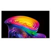 LG전자 4K UHD OLED evo AI TV, OLED83C6KNA, 방문설치, 벽걸이형, 209cm(83인치)