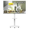 더함 CHIQ 4K UHD QLED DLG 120Hz 돌비 AI 스마트 구글5.0 TV + 이동식 스탠드 세트, 127cm(50인치), UA501QLED(TV), MS64-241L-W(스탠드), 이동형 스탠드, 고객직접설치