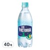 더빅토리아 청귤 탄산음료, 500ml, 40개