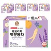 우리차 송원식품 배도라지 맥문동차 티백, 6개, 20개입, 1g