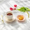 생활공식 플레이트 핸들 트레이, 투명