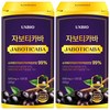 [정품] 자보티카바 Jaboticaba 정, 2개, 120정