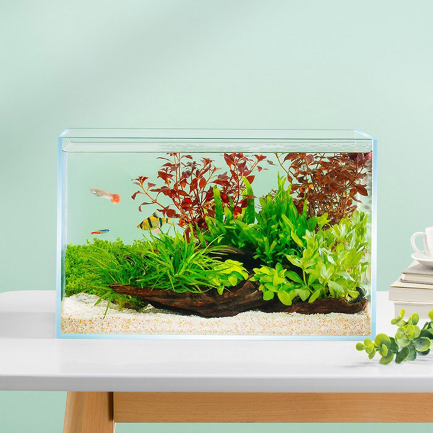 투명 유리로 아름다운 수족관 만들기