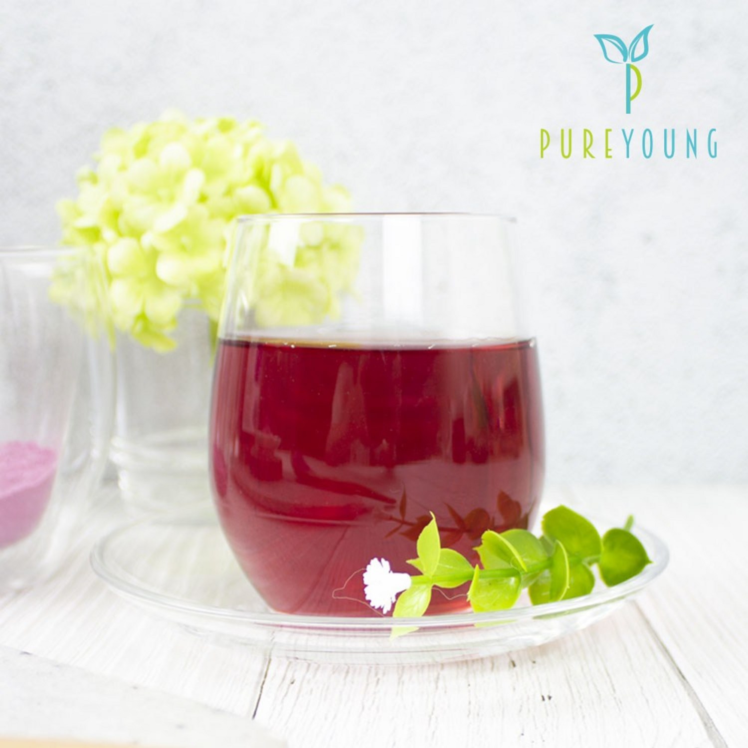 블루베리로 건강을 지키세요