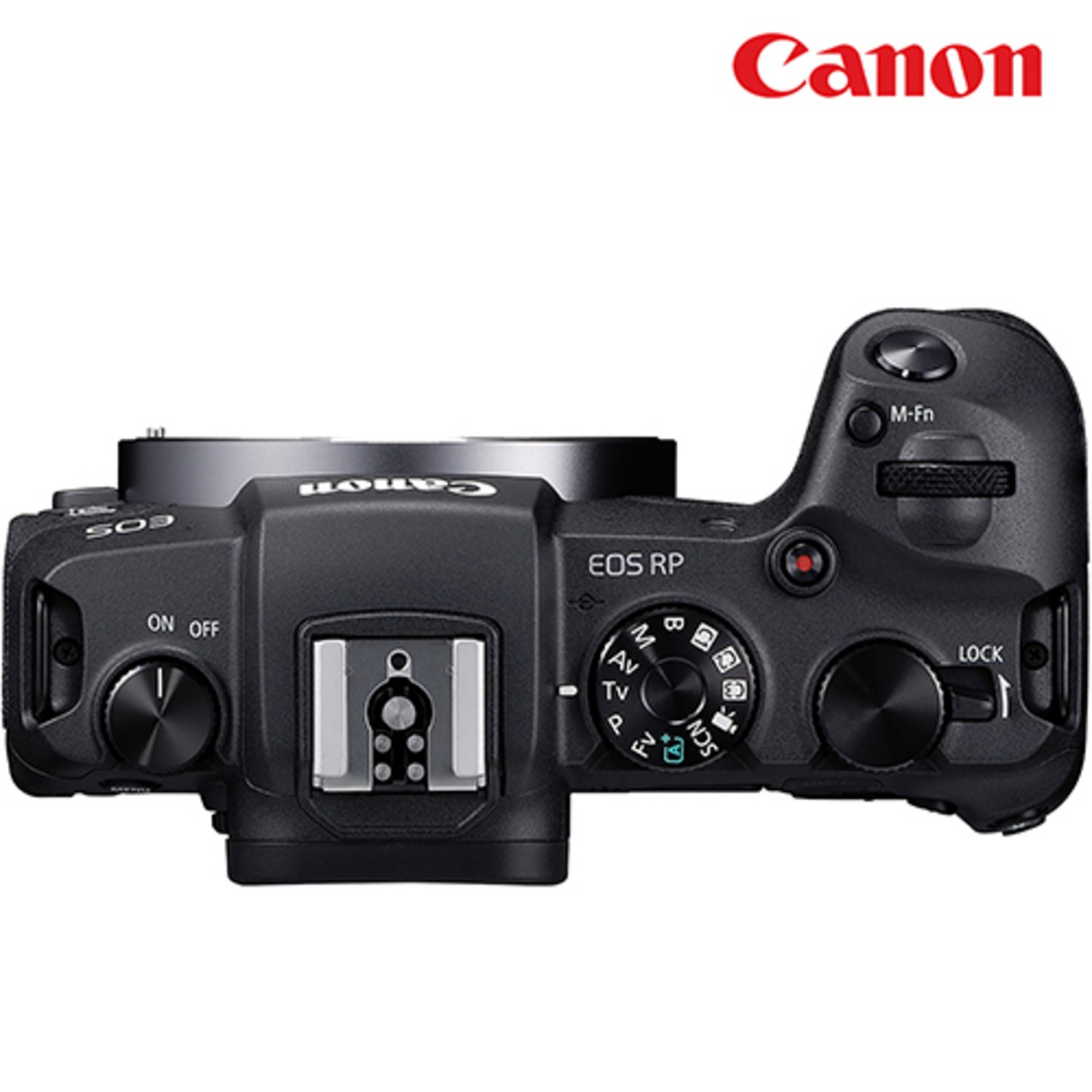 온 세계를 있는 그대로 담아내는 소중한 순간의 캔버스