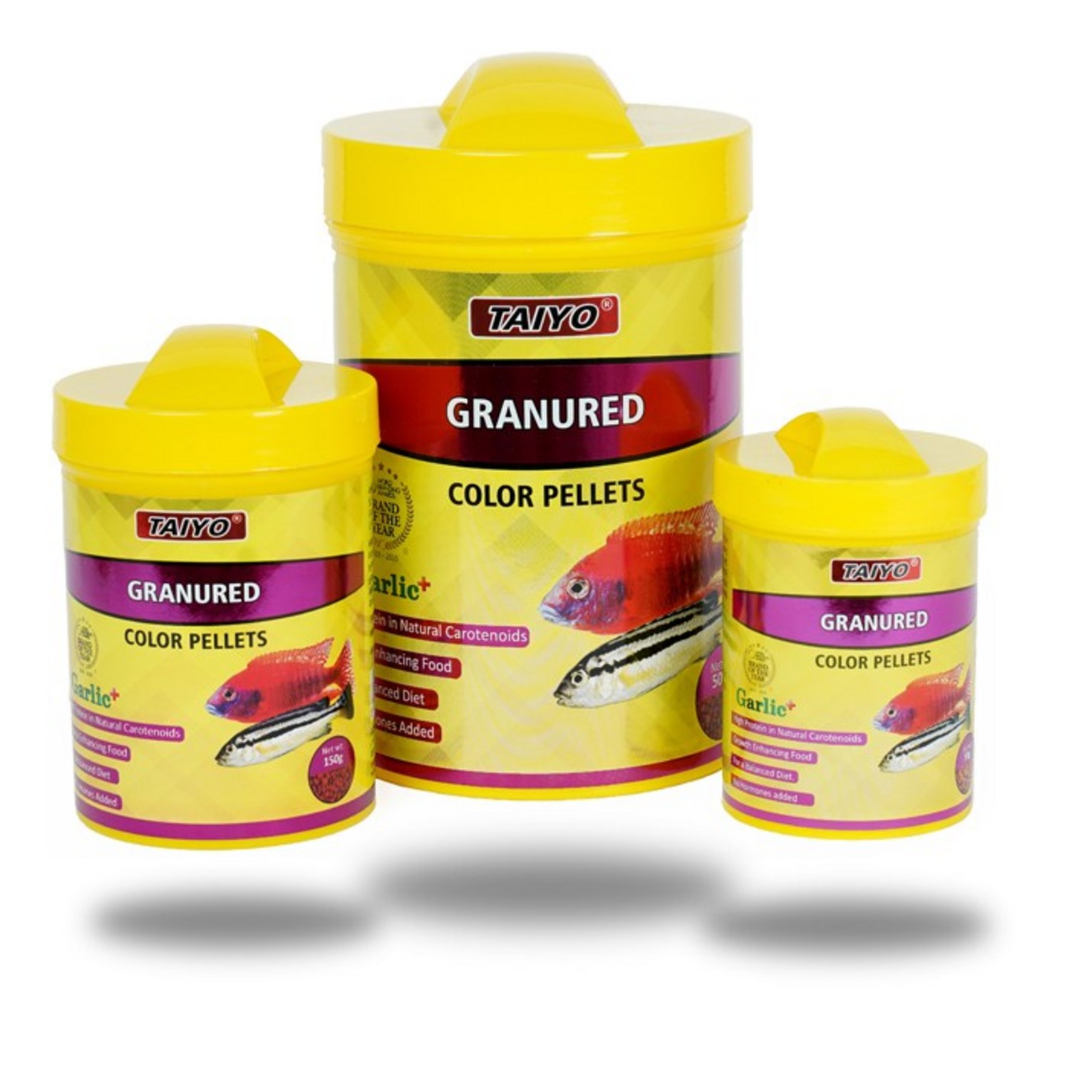 코리 안시 시클리드의 건강과 아름다움을 위한 필수 아이템