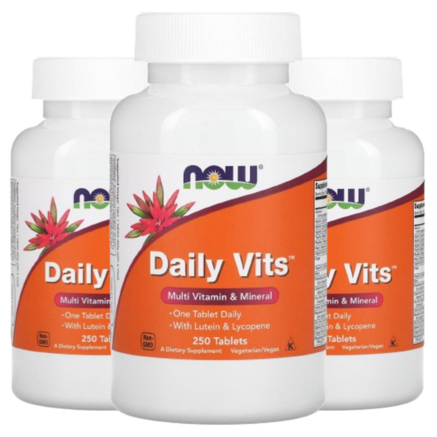 NOW Foods Daily Vits 멀티비타민 미네랄 250캡슐 영양제 X3통 나우푸드 미국 직구 사은품 추가증정, 250정, 3개