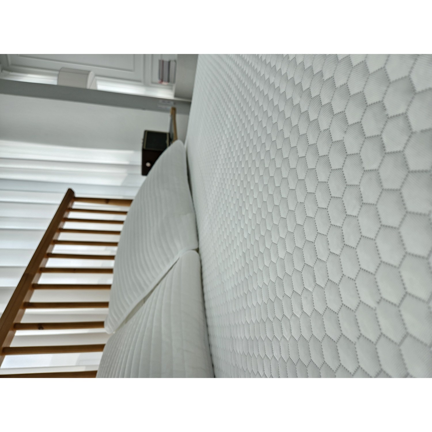 여름을 사랑하는 이들을 위한 완벽한 선택