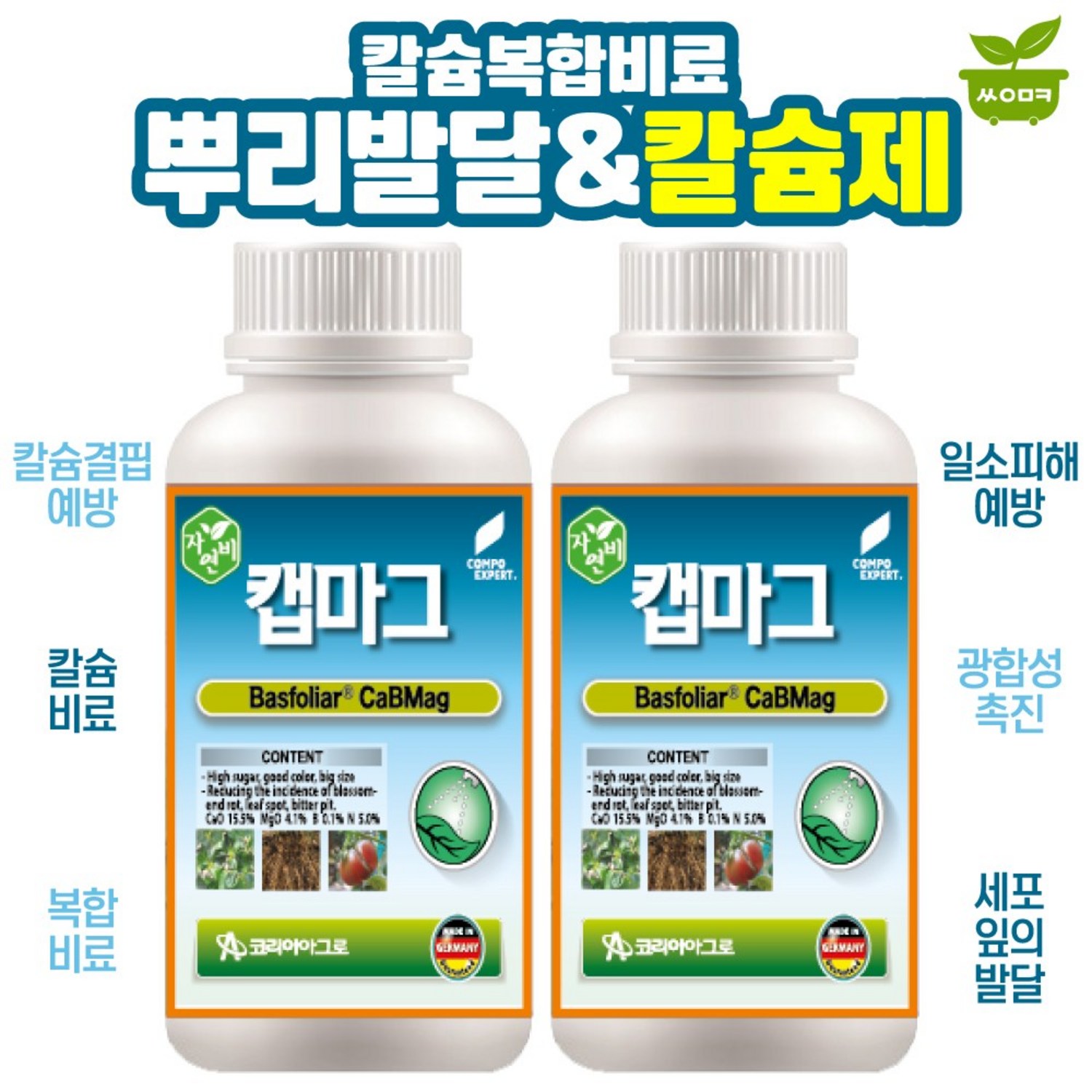 튼튼한 식물 성장의 비밀