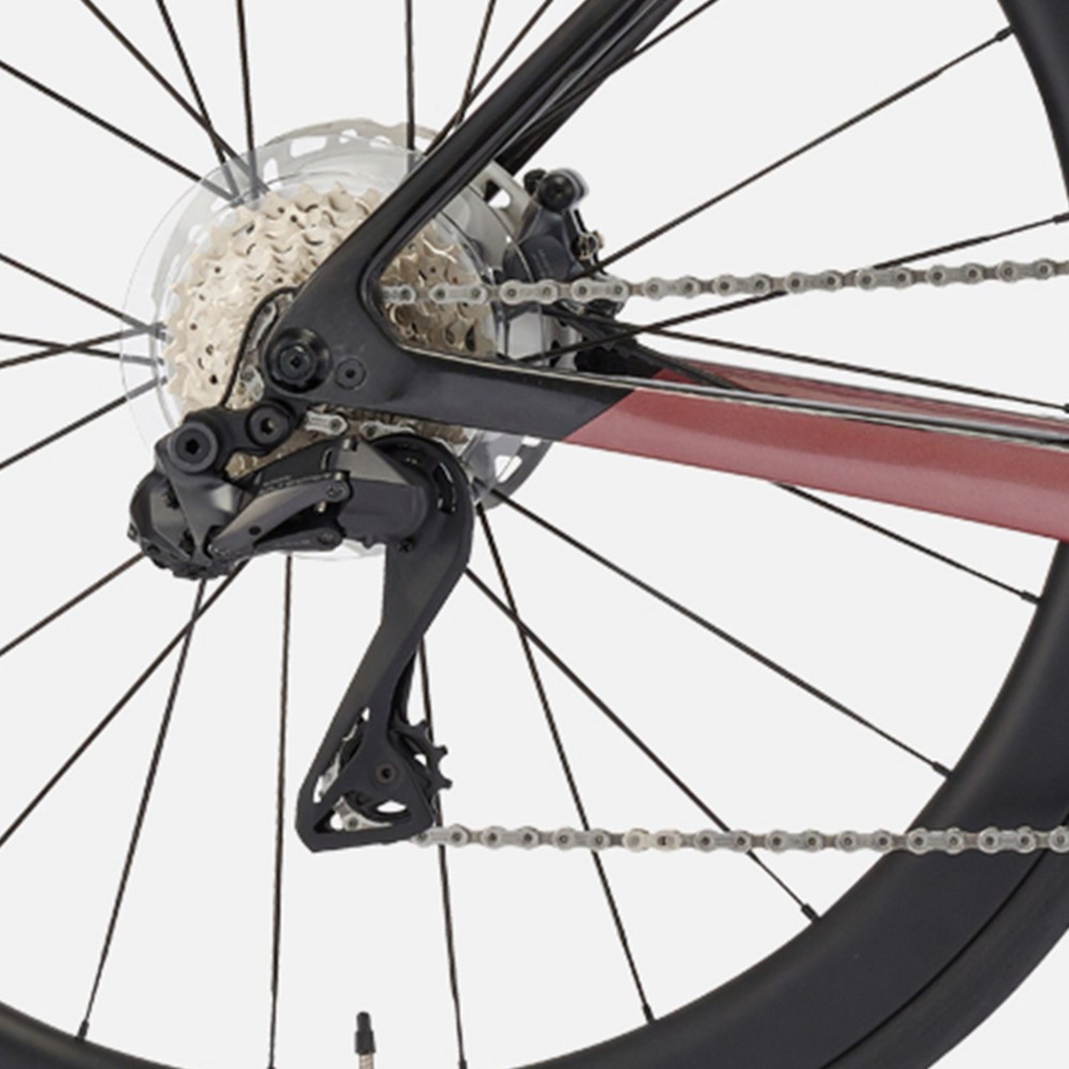 엘리엇 E8과 함께하는 최고의 라이딩 경험