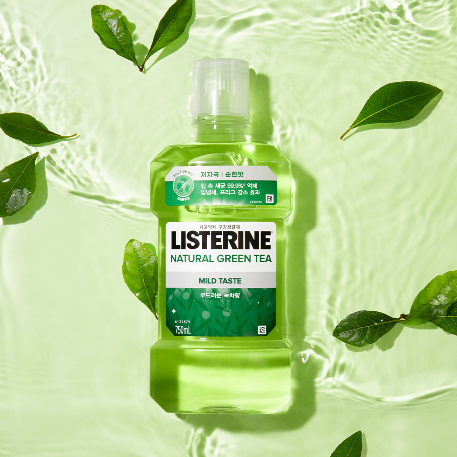 자연의 힘으로 구강 건강을 지키다