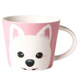 포메라니안