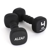 4kg