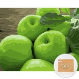 푸릇푸릇풋사과