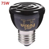 1. 75W × 1개