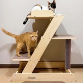 브라운 × 1개