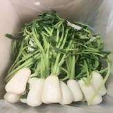 3kg 세척 절임알타리 × 1개