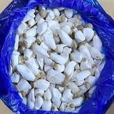새송이2kg(꼬마)