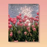 0043튤립 × 1개