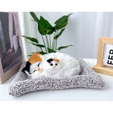 얼룩 고양이 모자 × 1개