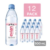 에비앙 워터 프랑스명품생수(FRENCH), 500ml, 12개