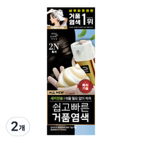 미쟝센 올뉴 쉽고 빠른 거품염색 80g, 2N 흑색, 2개