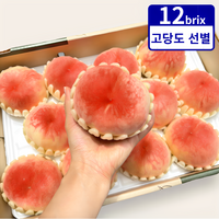 12brix 당도선별 딱딱이 백도 복숭아, 1개, 4kg (대과)