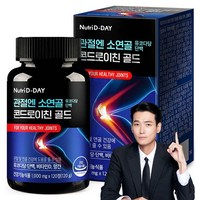 뉴트리디데이 관절엔 소연골 뮤코다당 단백 콘드로이친 골드 120g, 120정, 1개