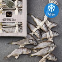 다미원 영광 법성포 채반 굴비 10미 (냉동), 950g, 1팩