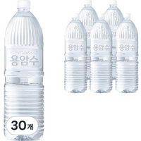 닥터유 제주용암수 무라벨, 2L, 30개