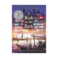 A Wish in the Dark, Candlewick