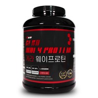 메이크바디 헬스 단백질 보충제 게라 웨이프로틴 초코맛, 2.3kg, 1개