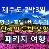 [제주도] 한라산등반포함 버스투어 2박3일 패키지여행, 항공/숙소/여행/식사포함