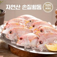 국내산황돔(명진) 국내산 자연산 황돔 300g10팩(팩당 3마리 포장) / 총 30마리, 10개