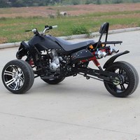 역삼륜 바이크 스쿠터 레저 농업 출퇴근용 250cc, 150cc 컴포트 버전
