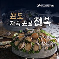 빅사이즈 완도손질전복 3미x6팩 총 18미, 없음