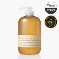 빅그린 탈모 카렌듈라샴푸 1000ml/ 지성 두피, 1개, 1L