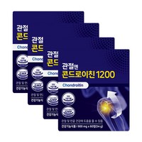 관절엔 콘드로이친1200 4개월분 (900mg x 60정 x 4박스), 4개