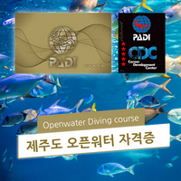 제주도 PADI 오픈워터 교육 자격증 스쿠버다이빙 강습