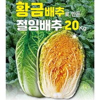 [2024년11월도착] 황금배추 10kg 20kg 절임배추 완전세척 명품배추 국산인증소금 HACCP 해남 김장배추, 1박스