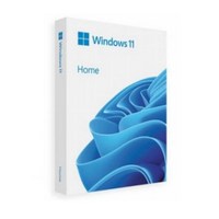 마이크로소프트 Windows 11 Home FPP 한글, Windows11 Home FPP