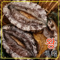 완도전복 왕특대 직거래 산지직송 산소포장 선물 세트, 1박스, 1kg (왕특대 8-9미 )