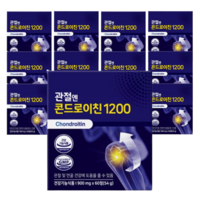 지성 관절엔 콘드로이친 1200 12박스 12개월 소연골, 60개, 12개