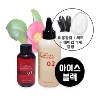 메르센보떼 동백 컬러젤+헤어캡+라텍스장갑, 1개, 아이스블랙