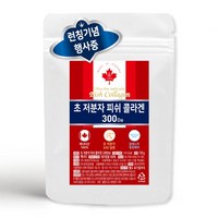 준코 캐나다 저분자 피쉬 콜라겐 펩타이드 분말 [ 300달톤 자연산 100% ], 1개, 150g