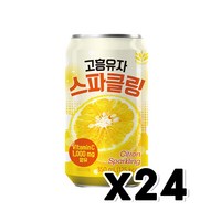 고흥유자 스파클링 캔음료 350ml x 24개