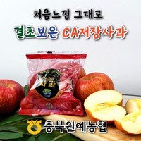 농협 충북원예농협 CA저장 세척사과 5kg_총 18~28과 /개별중량 190~300g, 1