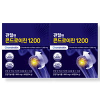 지성 관절엔 콘드로이친1200 900mg x 60정 x 1박스 1개월분 소연골 DM, 2개