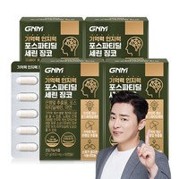 [1박스당 1개월분] GNM 기억력 인지력 포스파티딜세린 징코 / PS 은행잎추출물 두뇌건강, 60정, 4개