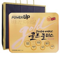 고려은단 비타민C 골드플러스 POWER UP 파워업 쇼핑백, 상세페이지 참조, 1박스, 상세페이지 참조, 상세페이지 참조, 240정